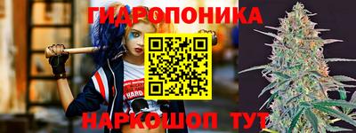 крисы Гусев