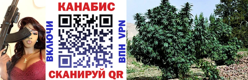Бошки Шишки THC 21%  Урус-Мартан 